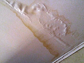 Visible Leaks or Water Spots